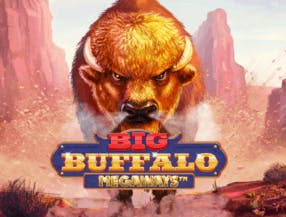 game logo by Skywind Group on playmojocasino.eu