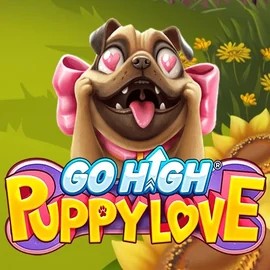 game logo by RubyPlay on playmojocasino.eu